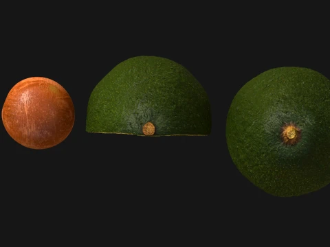 Avocado Set - Whole Half and Seed 3D Model