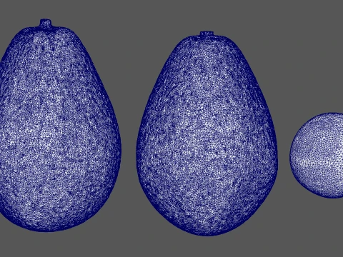 Avocado Set - Whole Half and Seed 3D Model