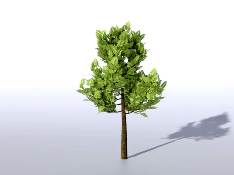 나무와 더 많은 나무 3D 모델