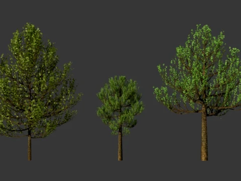 Tree and more tree 3D Model