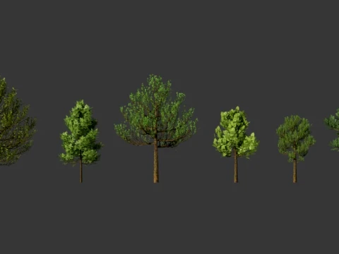 Tree and more tree 3D Model