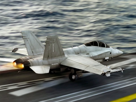 High Poly Hornet 3D Model