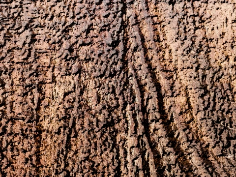 Modern Wooden TV Wall PBR 4K 3D Model