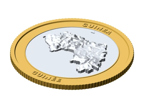 Guinea 3D Topographic Coin 85 mm Relief Collector Token 3D Print Model