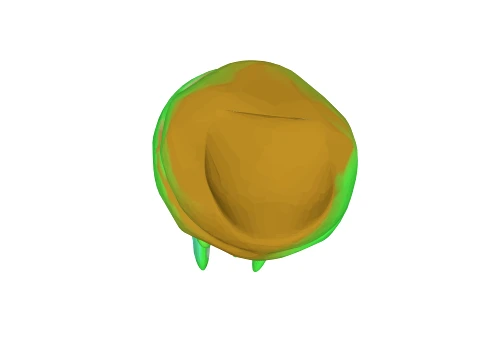 Cactus green blue 3D Model