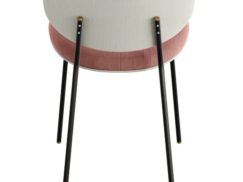 Calligaris Chair 3D Model