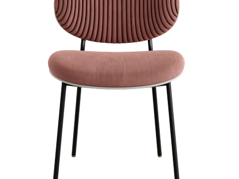 Calligaris Chair 3D Model
