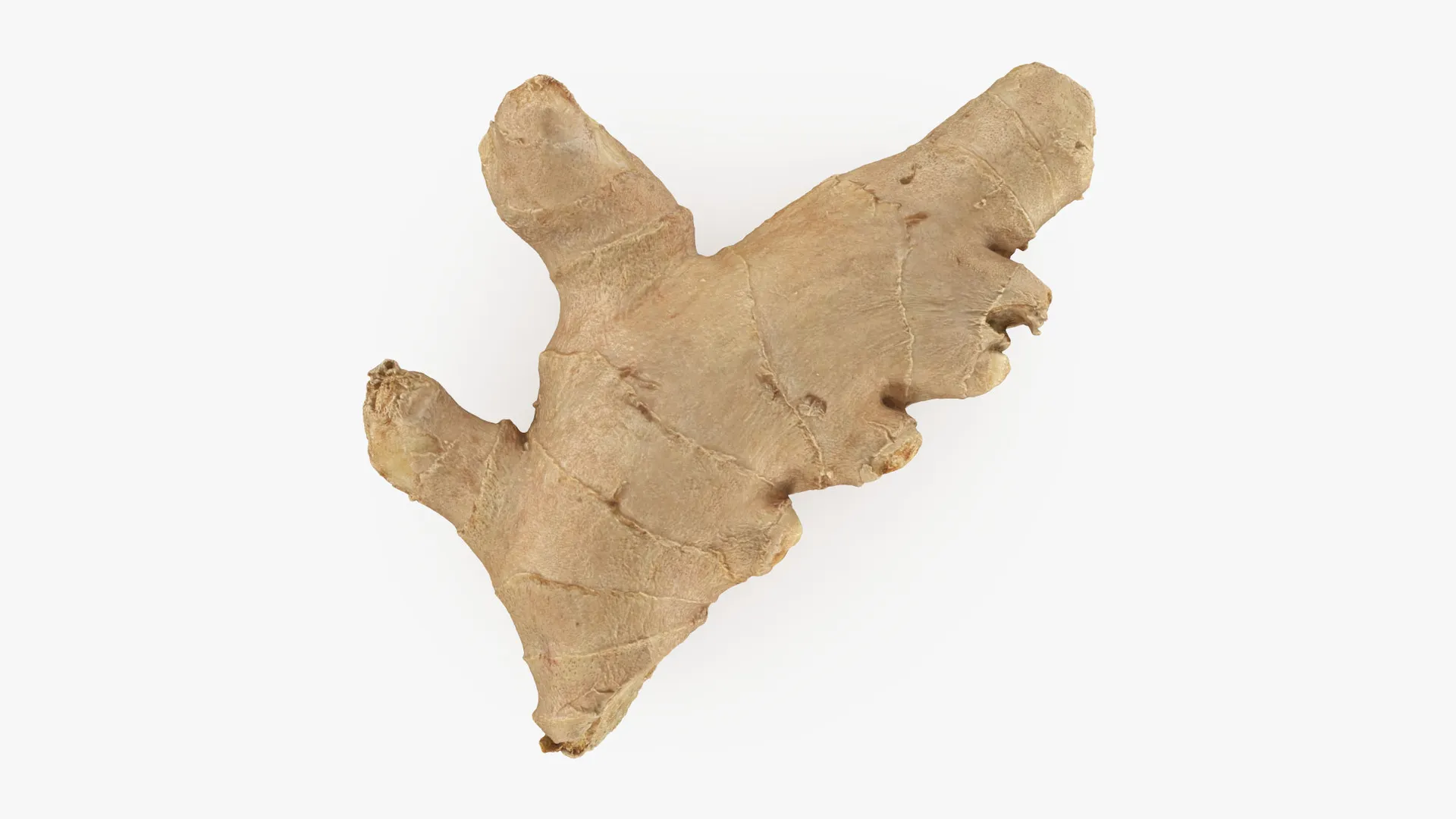 Ginger Root 01 3D Model .c4d .max .obj .3ds .fbx .stl .blend 