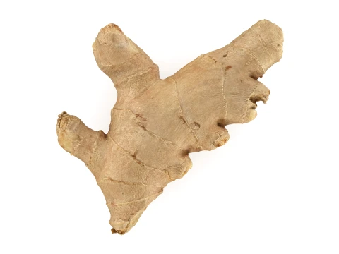 Ginger Root 01 3D Model