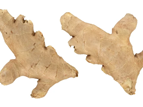 Ginger Root 01 3D Model