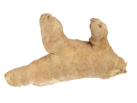 Ginger Root 01 3D Model