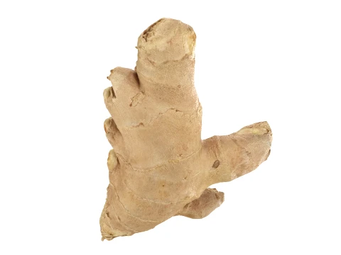 Ginger Root 01 3D Model