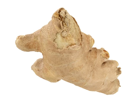 Ginger Root 01 3D Model