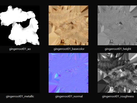 Ginger Root 01 3D Model