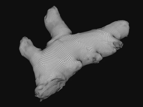 Ginger Root 01 3D Model