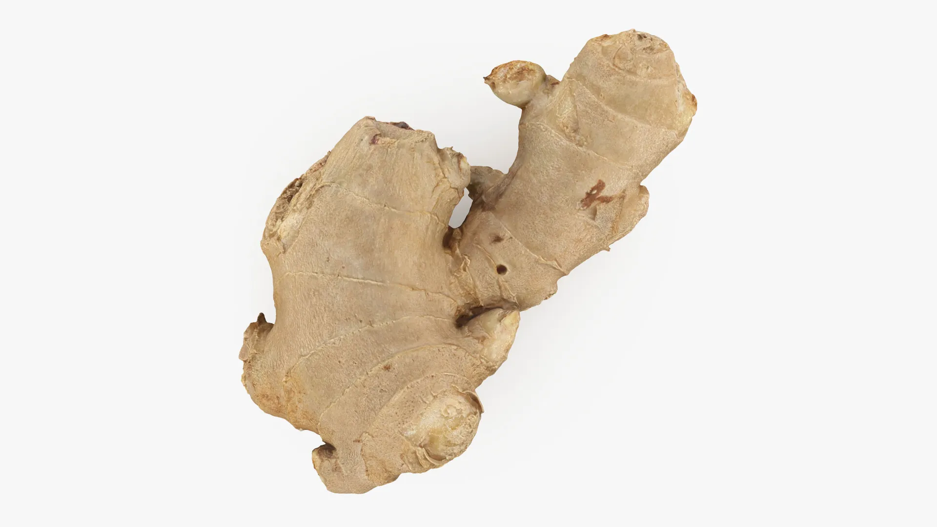 Ginger Root 03 3D Model .c4d .max .obj .3ds .fbx .stl .blend 