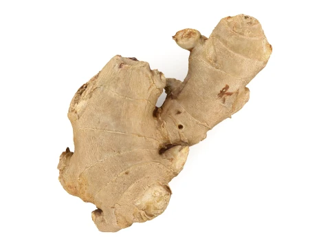 Ginger Root 03 3D Model