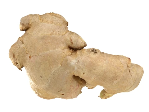 Ginger Root 03 3D Model