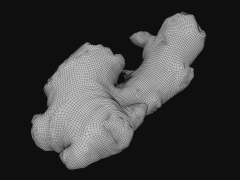 Ginger Root 03 3D Model