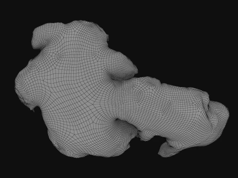 Ginger Root 03 3D Model