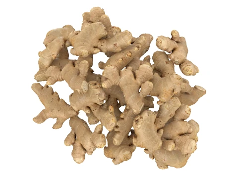Pile Fresh Ginger Root 3D Model
