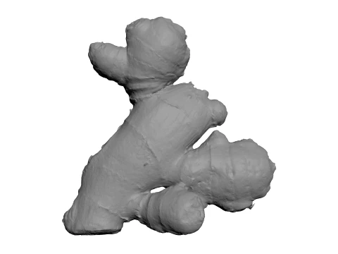 Ginger Root 02 - For 3D Print 3D Print Model
