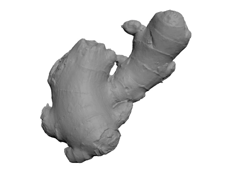 Ginger Root 03 - For 3D Print 3D Print Model