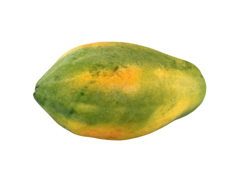 Whole Papaya 3D Model