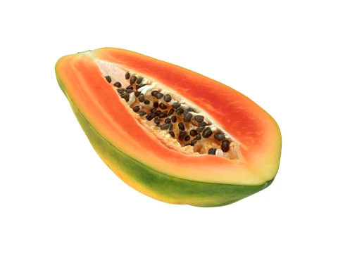 Papaya Half 02 3D Model