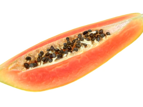 Papaya Wedge 3D Model