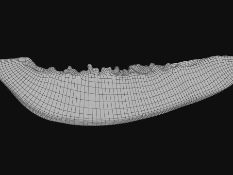 Papaya Wedge 3D Model