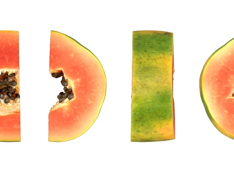 Papaya Slice 3D Model