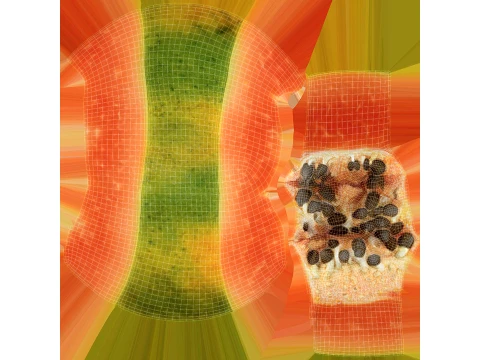 Papaya Slice 3D Model