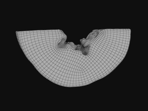 Papaya Slice 3D Model