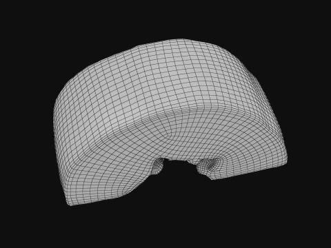 Papaya Slice 3D Model