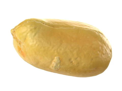 Peeled Peanut 3D Model