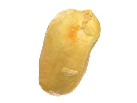 Peeled Peanut 3D Model