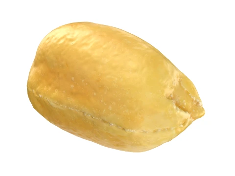 Peeled Peanut 3D Model