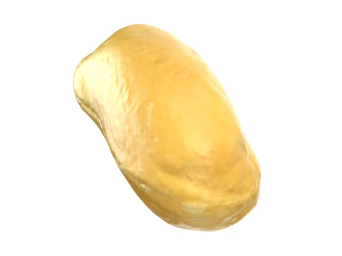 Peeled Peanut 3D Model