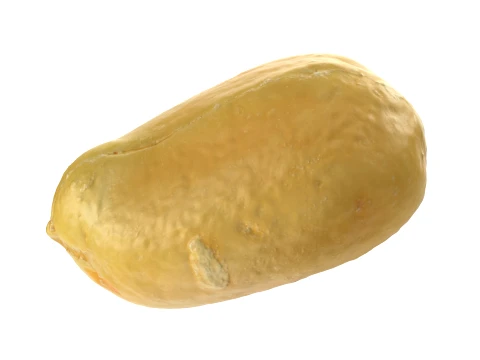 Peeled Peanut 3D Model