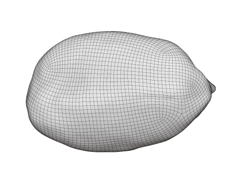 Peeled Peanut 3D Model