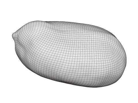 Peeled Peanut 3D Model