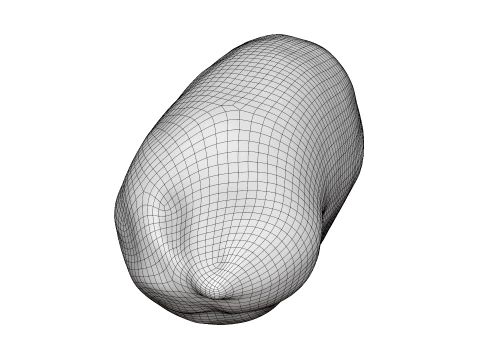 Peeled Peanut 3D Model
