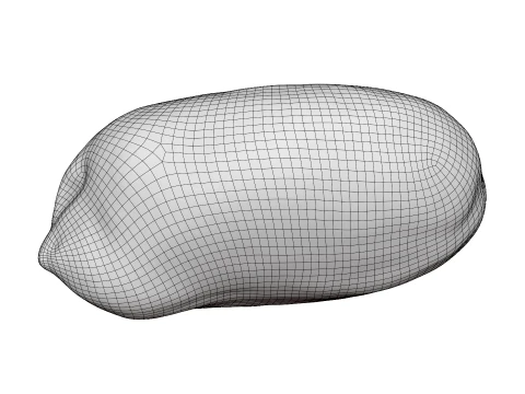 Peeled Peanut 3D Model