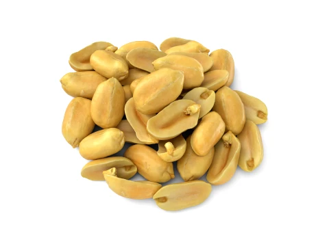Peeled Peanuts 3D Model