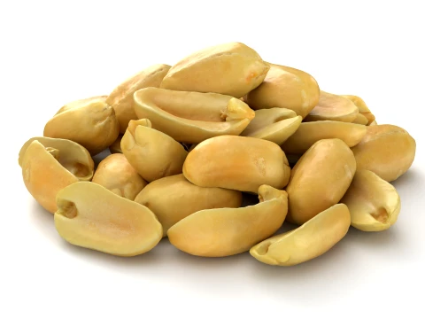 Peeled Peanuts 3D Model