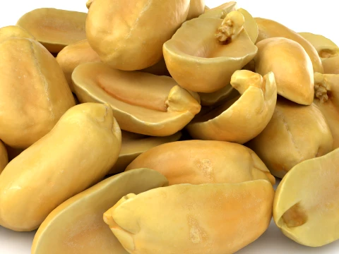 Peeled Peanuts 3D Model