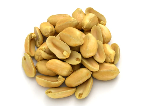 Peeled Peanuts 3D Model