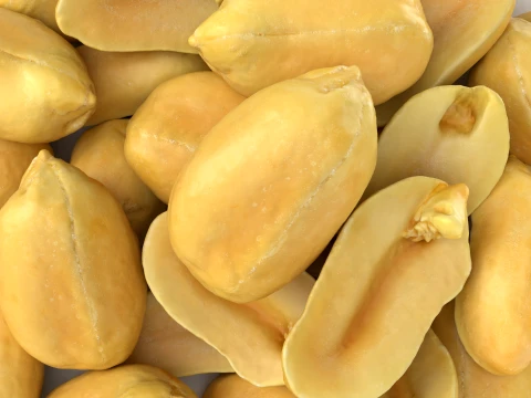 Peeled Peanuts 3D Model