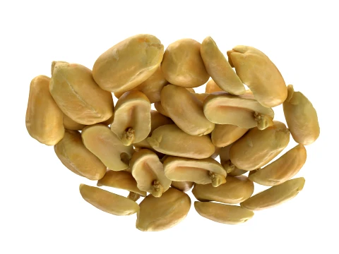 Peeled Peanuts 3D Model